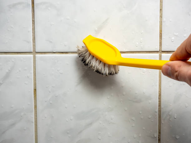Best Mold Testing and Inspection Services in Estherville, IA